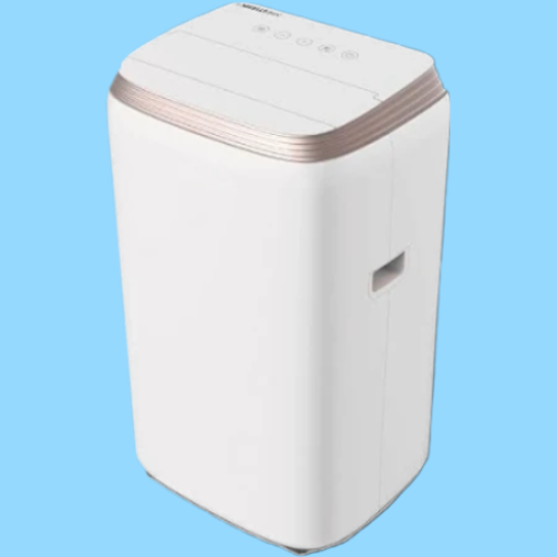 LLOYD 1 Ton Portable AC (Copper, LP12B01TP White)